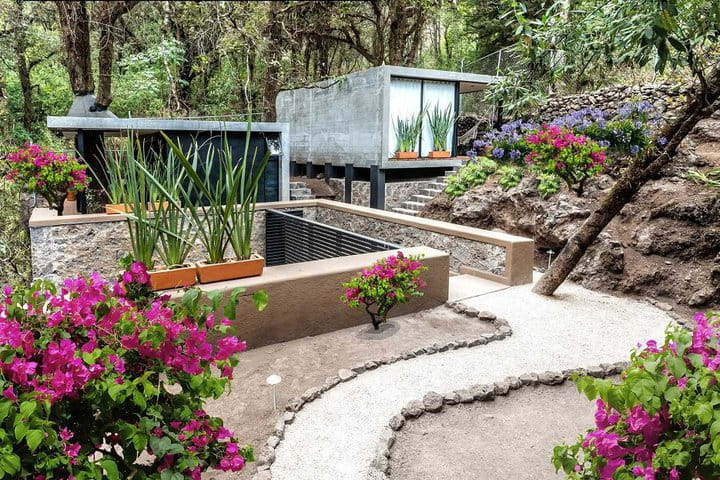 Cabins in a forest in Tepoztlán