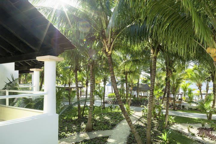 Vista desde una junior suite frente a la playa