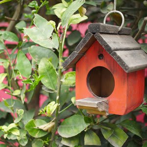 Colibrí B&B