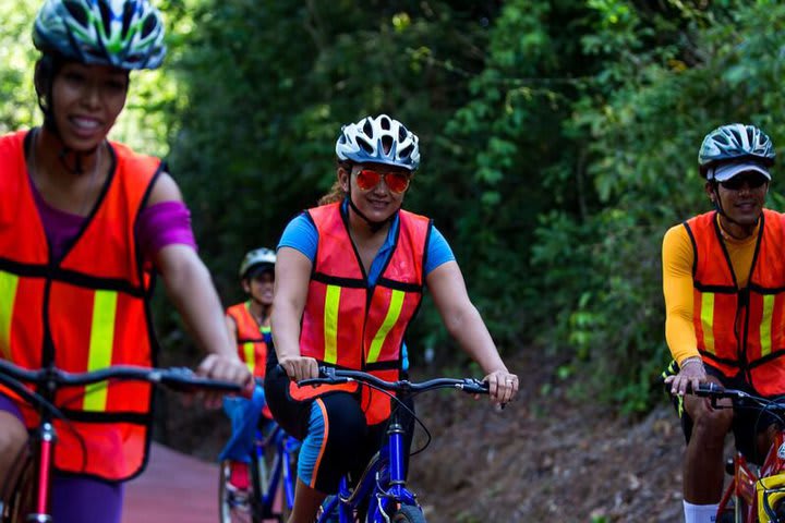 Se ofrecen bicicletas para realizar recorridos por el hotel