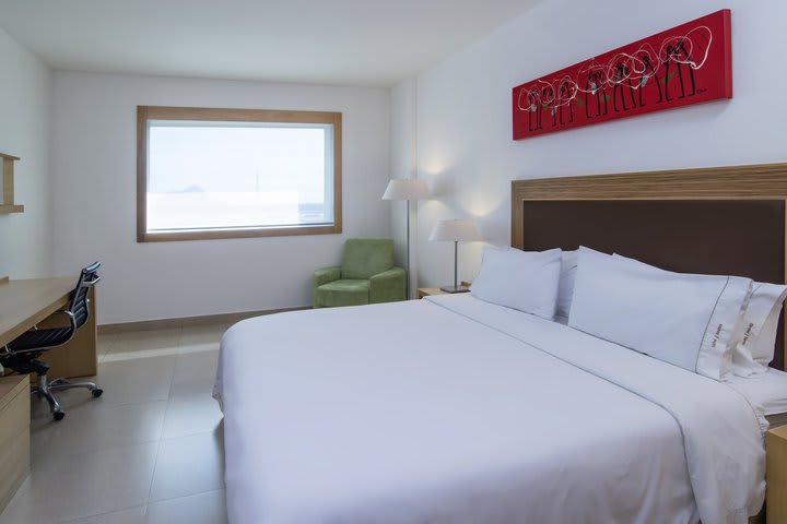 Img - 1 Bedroom Suite 1 King Harbour View