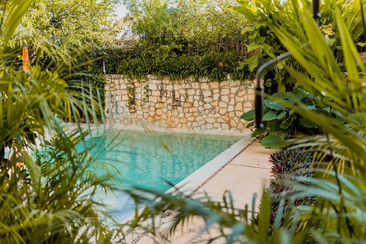 The pool is surrounded by vegetation