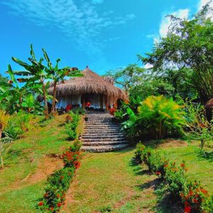 Magic Green Tayrona