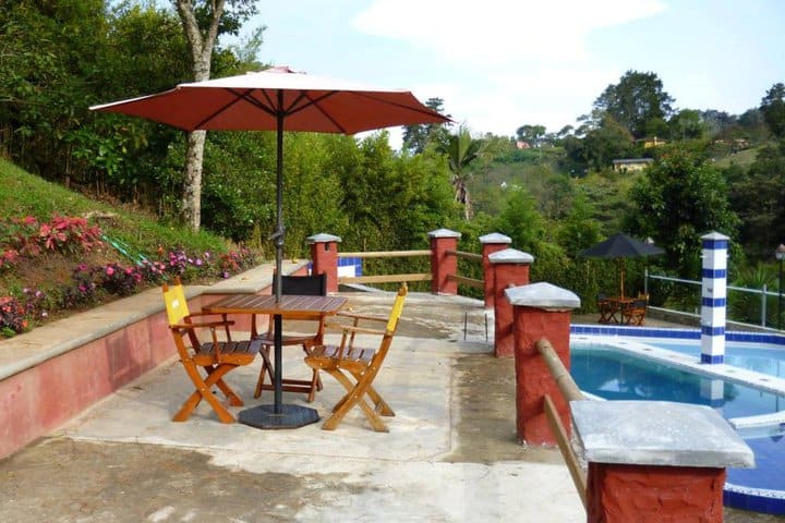 The pool overlooks the garden