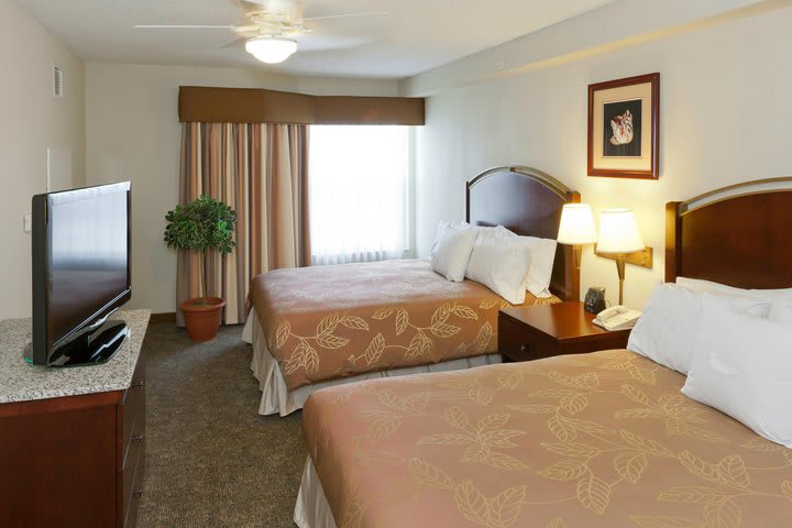 Suite doble en el Homewood Suites by Hilton Orlando