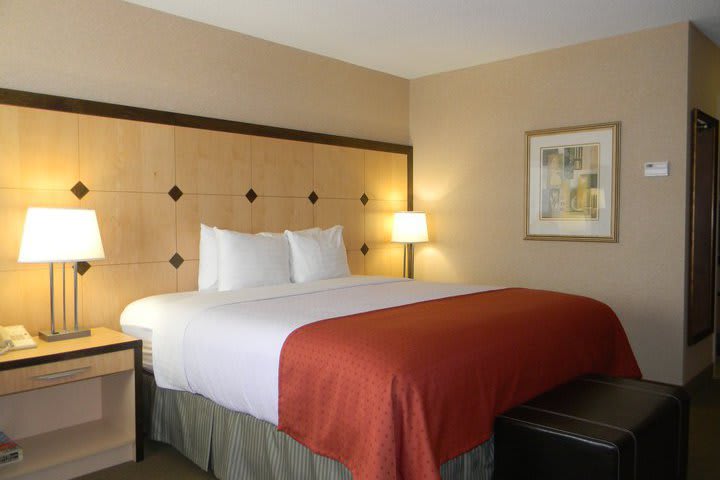 Standard room at the Holiday Inn Hotel Toronto-Markham