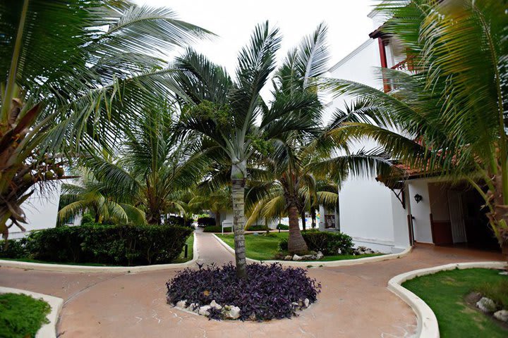 The resort has green areas