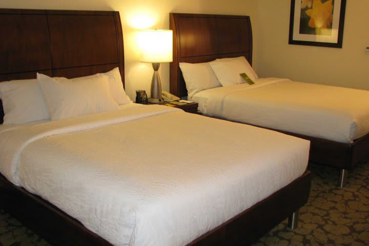 Hilton Garden Inn Orlando Airport