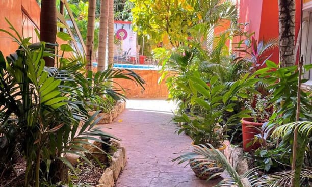 Hallway lined with lush vegetation