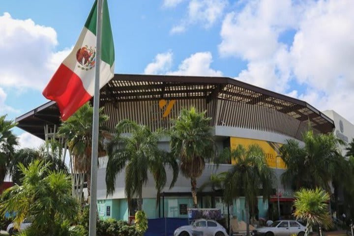 The Yellow Capsule Cancún