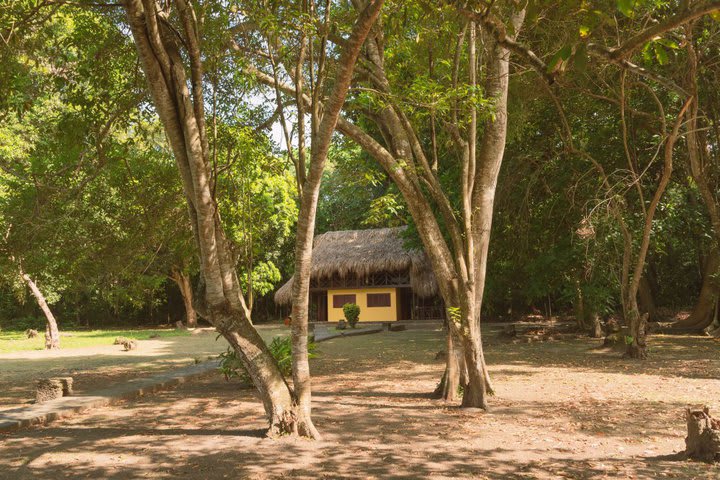 El hotel ofrece cabañas