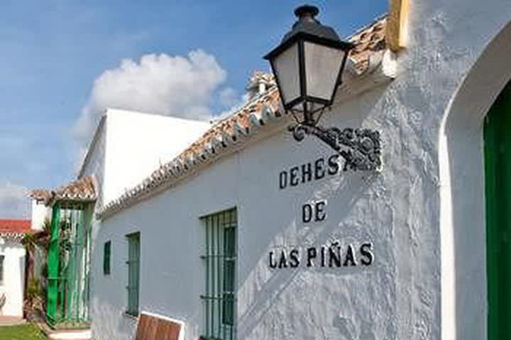 PriceTravel - Viaja fácil, sin pretextos