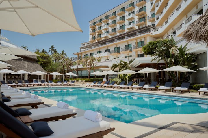 Sun loungers in the pool area