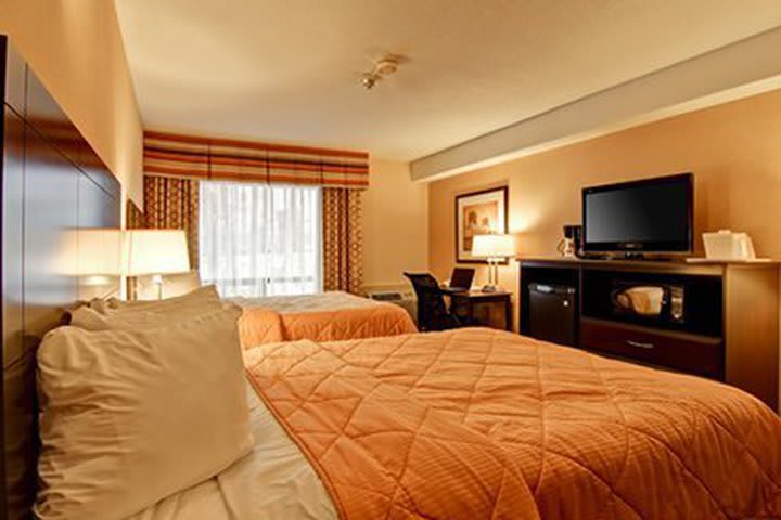 El hotel Comfort Inn East en Toronto ofrece habitaciones para personas con discapacidades