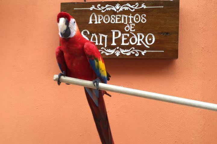 Hotel in Cartagena