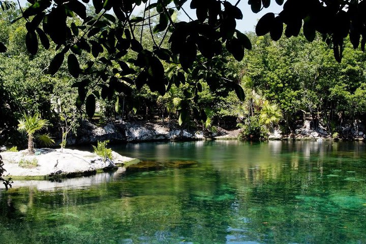 El hotel está rodeado de manglares y cenotes