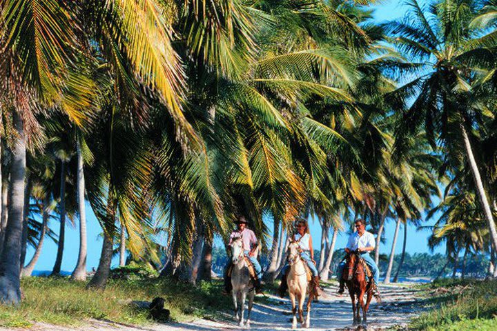 En el hotel se puede pasear a caballo