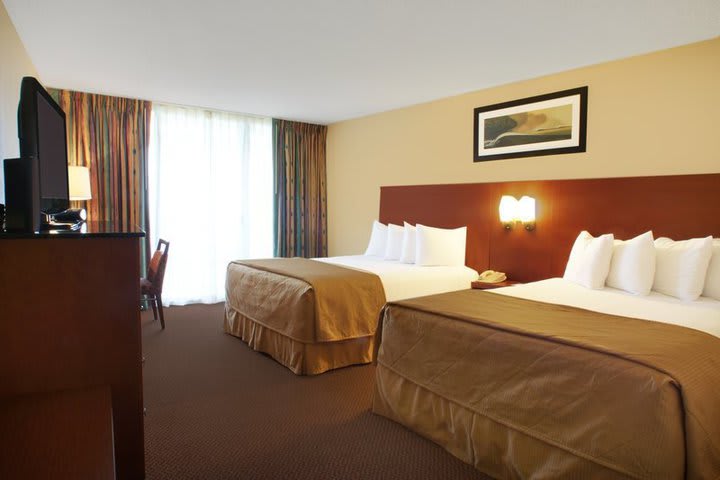 The Best Western® hotel in Walt Disney World® in Orlando has 325 guest rooms