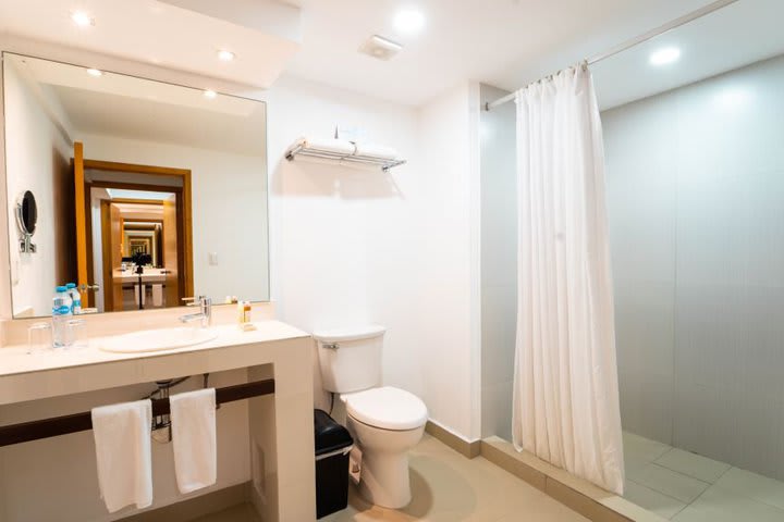 Bathroom in a master suite