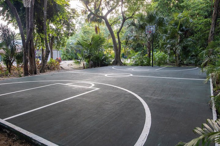 Basketball court