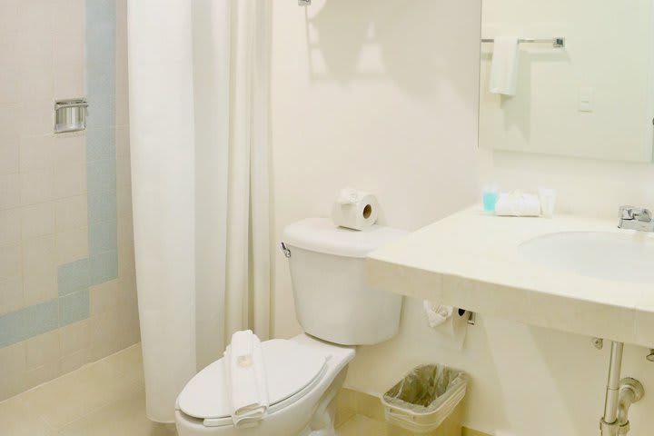 Bathroom with shower in the room with garden view