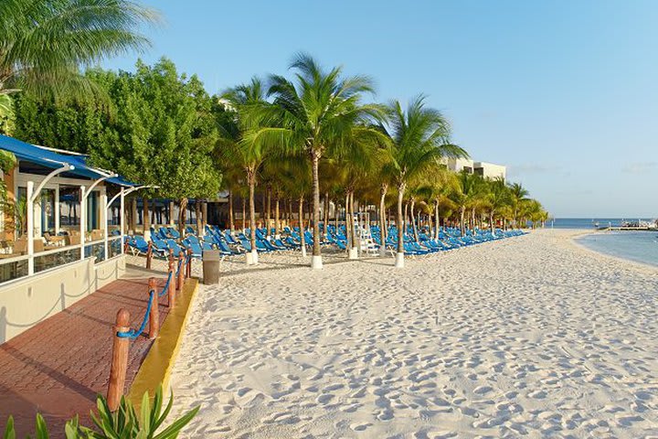 Playa de la propiedad