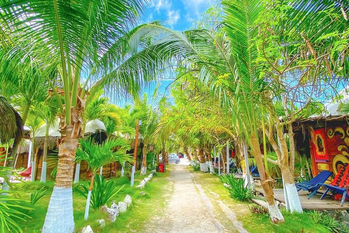 Pasillo de las mini cabañas con vista al jardín