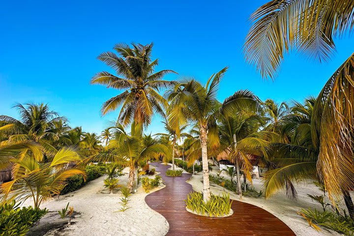 Alito Hotel Tulum Formerly La Diosa Tulum