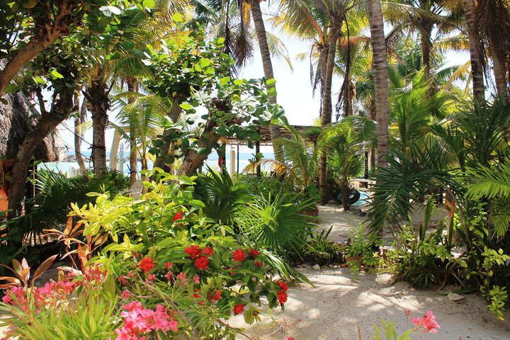 Villa Kiin gardens, hotel in Isla Mujeres