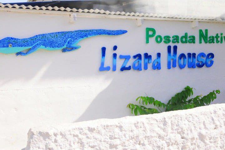 Posada Nativa Lizard House