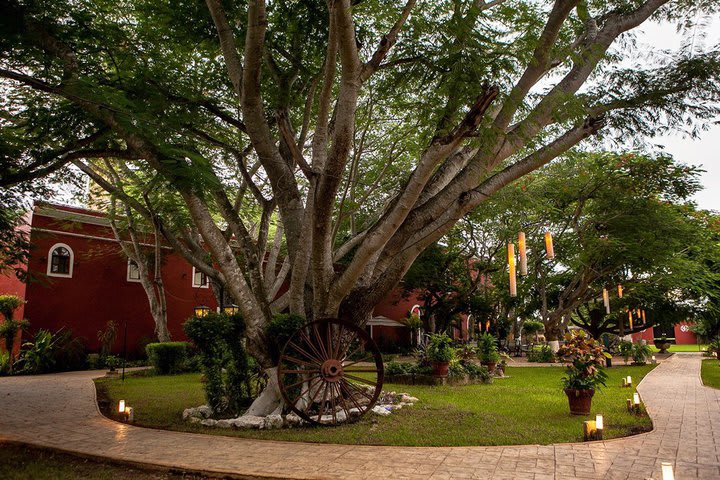 Hotel surrounded by green areas