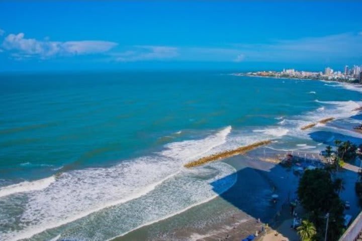 Los apartamentos se distribuyen en dos edificios frente al mar con piscina