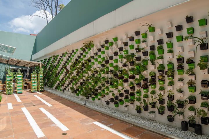 Organic garden in the restaurant