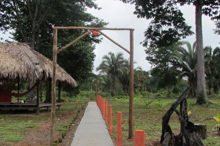 Amazon Turtle Lodge está en las afueras de Careiro