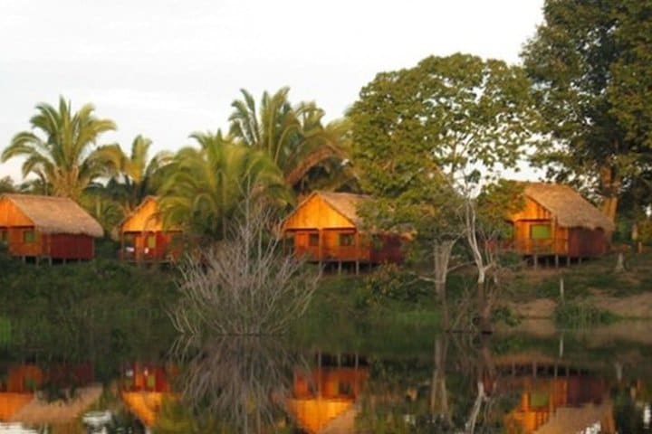 Rodéate de naturaleza en el Amazon Turtle Lodge