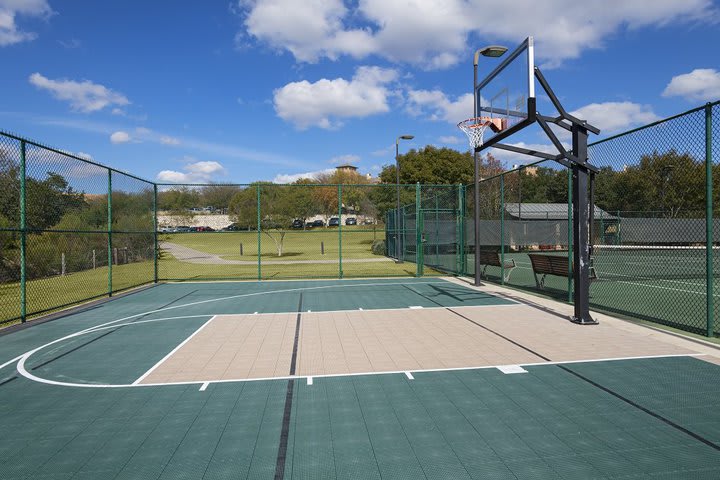 Basketball court