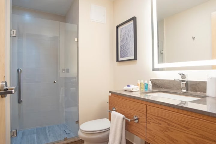 Private guest bathroom