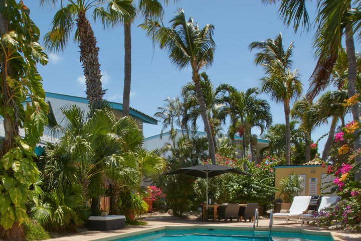 Tropical gardens around the pool