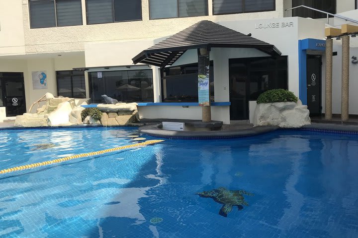 El hotel tiene piscina