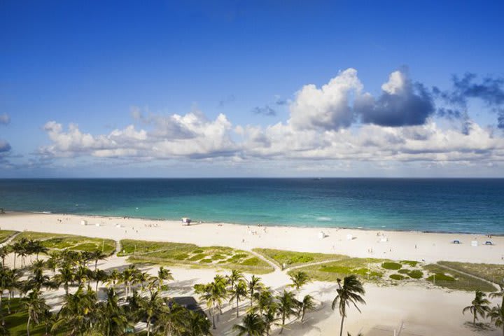 Todas las suites del hotel King & Grove Tides en South Beach tienen vista al mar