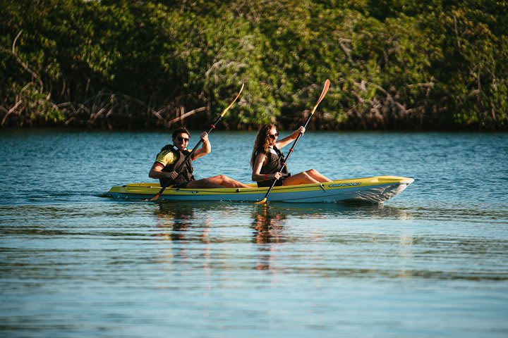 Kayaks