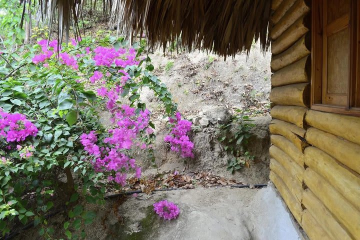 Cabañas de madera