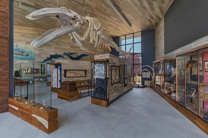 Sala de exhibiciones Gabinete del Barco