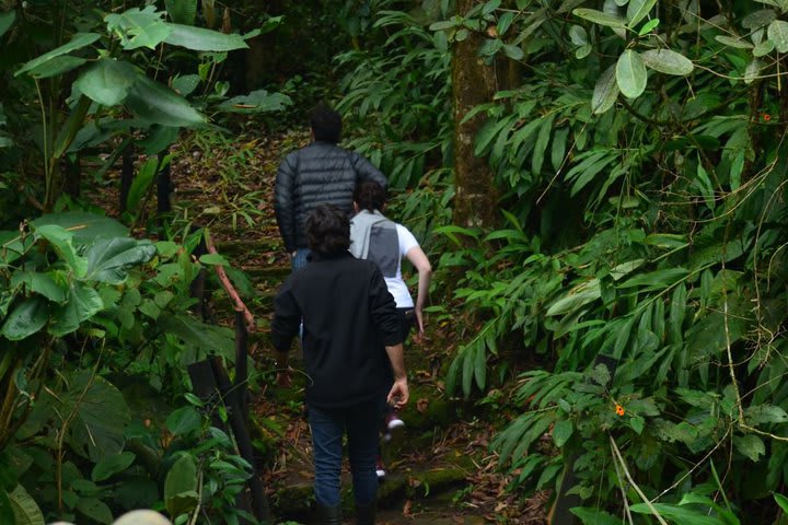 Ecological walks are available at the hotel