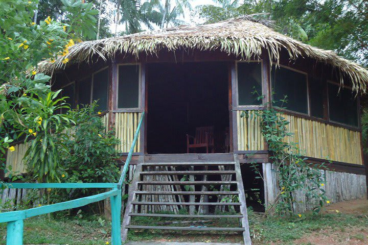 Dolphin Lodge está en Careiro