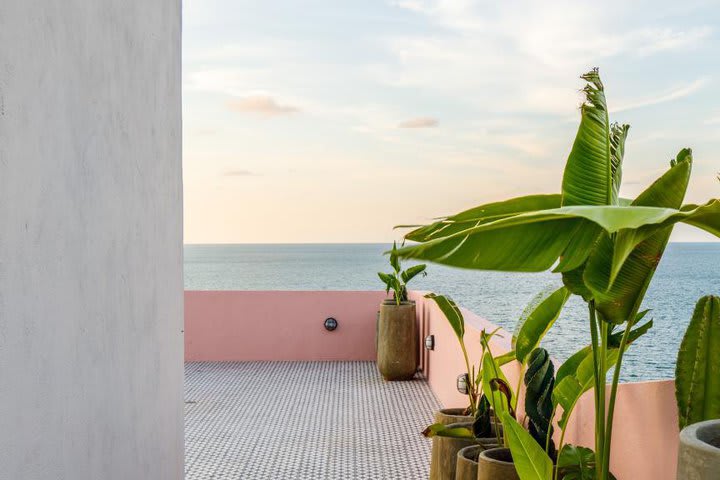 Vista desde la terraza