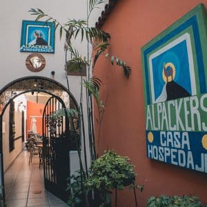 Alpackers B&B - Hostel