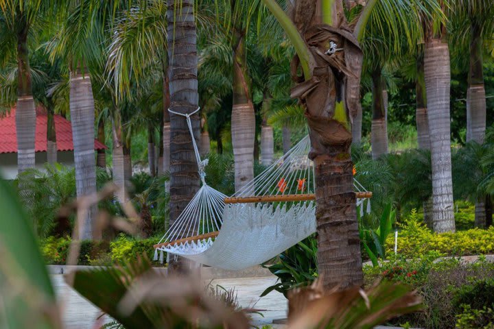 Outdoor sitting area