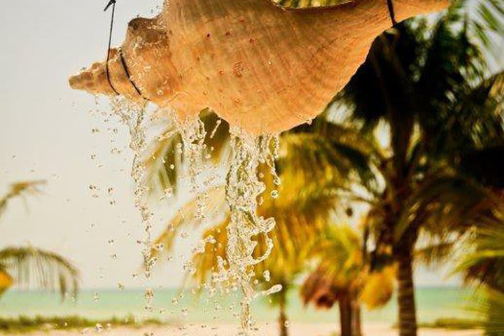 White-sandy beaches at Villas Delfines, hotel in Holbox