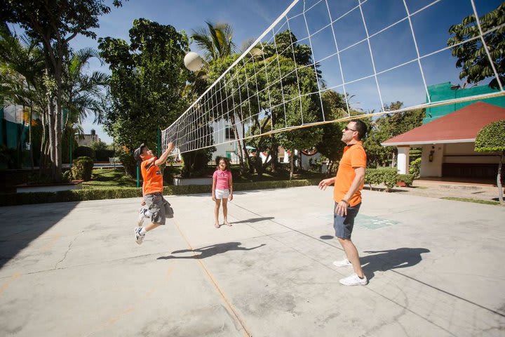 Volleyball court